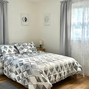 Cozy Near Busch Gardens Homestay